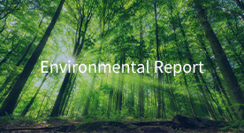 Environmental Report