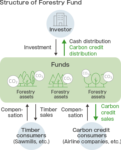 How a forest fund works Investors invest in a fund that owns forest assets, and receive cash distributions and carbon credits from the fund. The fund sells wood to wood consumers (such as sawmills) and receives compensation. Additionally, the fund sells carbon credits to carbon credit users (such as airlines) and receives compensation.
