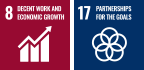 8 Decent work and economic growth 17 Partnerships for the goals